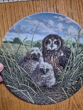 Knowles China Collector Plate "Happy Home: Short-Eared Owls" 1992